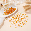 Picasso Baking Paint Glass Seed Beads SEED-TA0001-62C-4