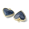 Natural Lapis Lazuli Pendants G-O204-01F-3