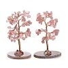 Natural Rose Quartz Chips & Agate Pedestal Display Decorations DJEW-A001-04C-1