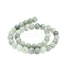 Natural Labradorite Beads Strands G-G828-01-10mm-2