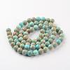 Natural Imperial Jasper Beads Strands G-I122-8mm-12-3