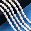 Natural Cultured Freshwater Pearl Beads Strands PEAR-N012-04K-6