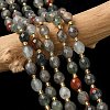 Natural Bloodstone/Heliotrope Stone Beads Strands G-F809-A13-01-1