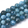 Natural Apatite Beads Strands G-S345-8mm-008-1