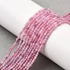 Natural Pink Tourmaline Beads Strands LS-G-N342-33A-5
