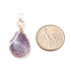Natural Amethyst Copper Wire Wrapped Pendants PALLOY-JF01398-04-2