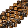 Natural Tiger Eye Beads Strands G-L239-19-1