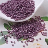 MIYUKI Delica Beads X-SEED-J020-DB0265-1