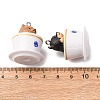 Opaque Resin Pendants RESI-K048-07A-3