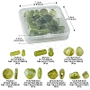 35Pcs 7 Styles Transparent Resin Beads RESI-FS0001-75-4