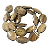 Natural Shell Beads Strands X-PBB250Y-5-2