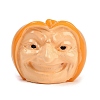 Halloween Resin Pumpkin Display Decorations DJEW-D301-02B-1
