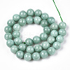 Natural Myanmar Jade/Burmese Jade Beads Strands X-G-T064-22-10mm-2