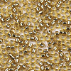 Glass Seed Beads SEED-S042-04B-07-3
