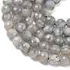 Natural Labradorite Beads Strands G-L642-F07-6mm-4