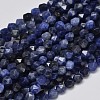 Faceted Natural Sodalite Beads Strands G-K066-02-6mm-1