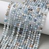 Natural Aquamarine Beads Strands X-G-L651-C09-4mm-1