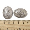 Natural Maifanite Cabochons G-C115-01B-30-3