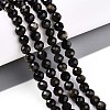 Natural Golden Sheen Obsidian Beads Strands G-S345-6mm-20-2
