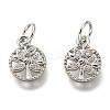 Brass Micro Pave Clear Cubic Zirconia Charms ZIRC-B002-66P-1