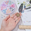 8 Sets 8 Colors Inside Colours Transparent Glass Seed Beads SEED-PH0002-41-3