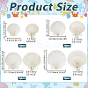 14Pcs 4 Styles Natural Shell Painting Accessories DIY-NB0012-05-2