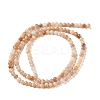 Natural Pink Shell Beads Strands SHEL-D002-A01-3mm-3