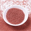 MIYUKI Delica Beads SEED-MY11-DB1302-2