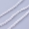 Natural Rainbow Moonstone Beads Strands G-F619-19-2mm-1