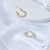 1 Pair Zinc Alloy Hoop Earrings EJEW-LP0003-66P-3