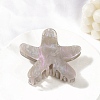 Acrylic Claw Hair Clips PW-WG75673-05-1