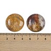 Natural Crazy Agate Cabochons G-H1596-FR-25mm-20-3