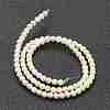 Nrtutal Magnesite Beads Strands G-L575-01A-3