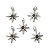 Rack Plating Brass Micro Pave Cubic Zirconia Pendants KK-P235-02P-3