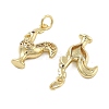 Brass With Cubic Zirconia Pendants KK-Q006-02G-2
