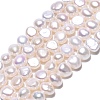 Natural Cultured Freshwater Pearl Beads Strands PEAR-N014-03D-2