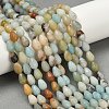 Natural Amazonite Beads Strands G-P520-B10-01A-5