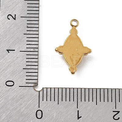Natural Stone Pendants STAS-D300-02G-04-1