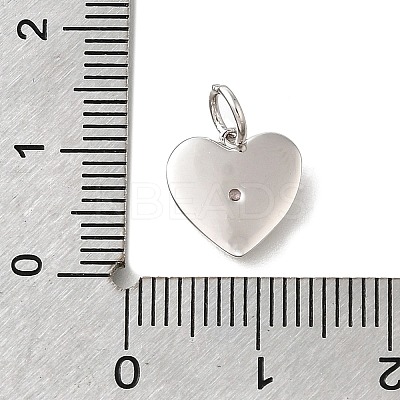 925 Sterling Silver Micro Pave Clear Cubic Zirconia Charms STER-V001-01P-10-1