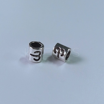Tibetan Style Alloy European Beads FIND-WH0111-50K-1