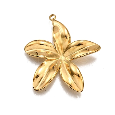 304 Stainless Steel Pendants LS-STAS-M116-03G-1
