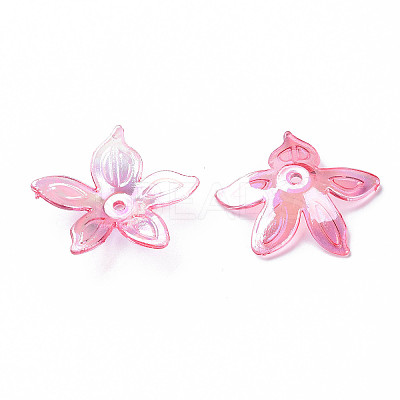 Transparent Acrylic Beads MACR-S373-102-C-1