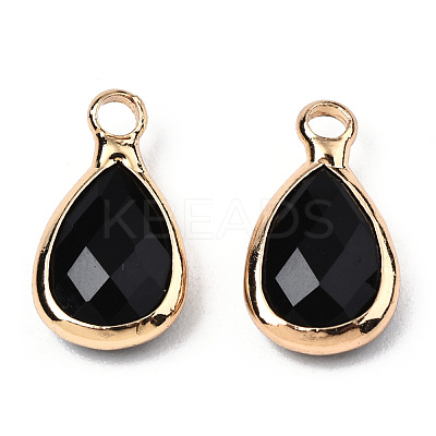K9 Glass Charms GLAA-N038-21-1