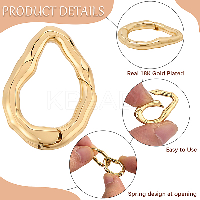6Pcs Brass Spring Gate Clasps FIND-SC0020-67D-1