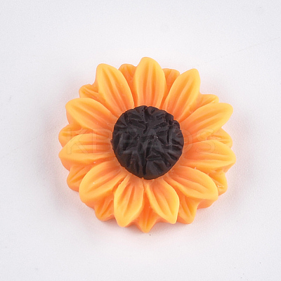 Resin Cabochons X-CRES-T010-59B-1