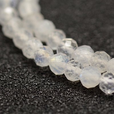 Natural Rainbow Moonstone Beads Strands G-F460-08-1