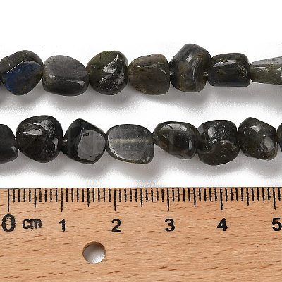 Natural Larvikite Beads Strands G-P497-01E-85-1