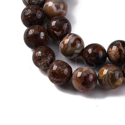 Natural Mexico Crazy Agate Beads Strands G-L615-A01-03-1