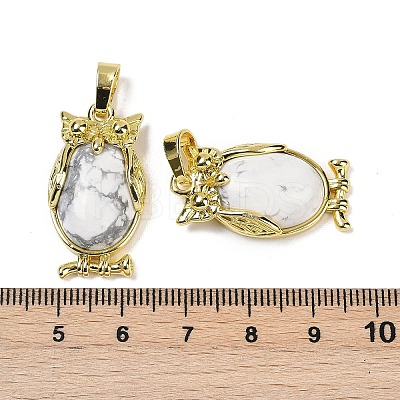 Natural Howlite Pendant KK-F887-02G-06-1
