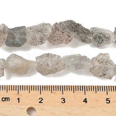 Natural Black Soya Bean Raw Ore Beads Strands G-M453-D08-1